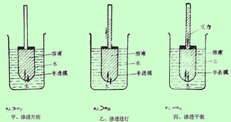 渗透压:恰能阻止渗透现象继续发生而达到平衡的压力.